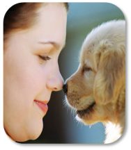 Image of little girl and a puppy rubbing noses