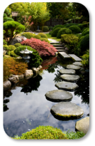 Image of stone path in water
